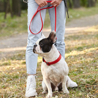 Dogline Biothane Waterproof Leash 4 ft