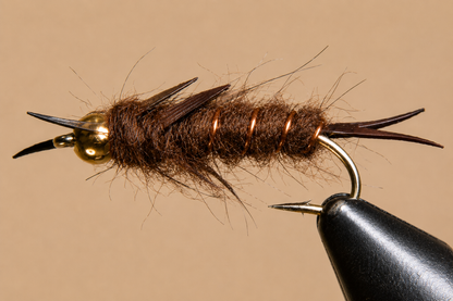 Stone Creek BH Giant Stonefly Nymphs