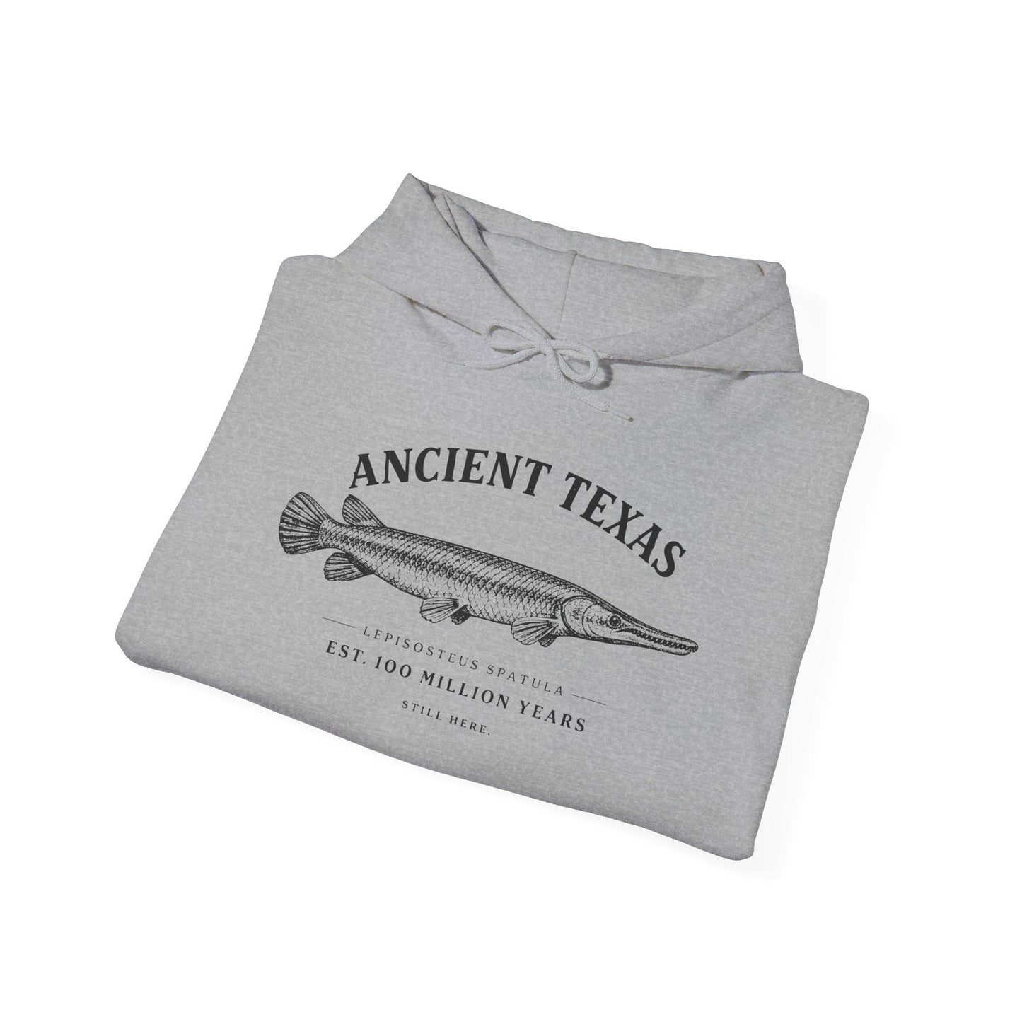 Texas Rigged Tees Ancient Texas — Unisex Hooded Sweatshirt