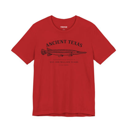 Texas Rigged Tees Ancient Texas — Unisex Cotton Tee