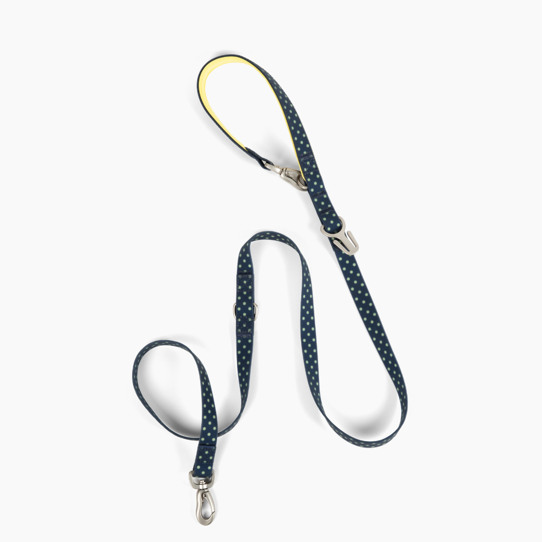 Springland Pets Waterproof Dog Leash - 5ft