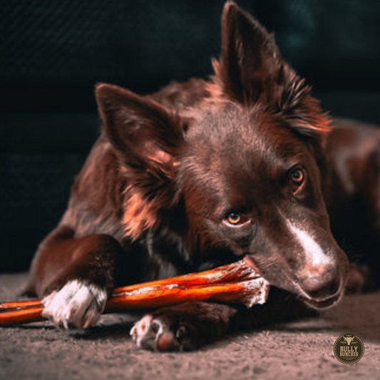 Bully Bunches - 12 Inch Monster Bully Stick