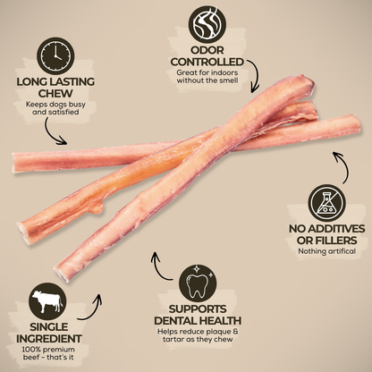 Bully Bunches - 12 Inch Standard Bully Stick