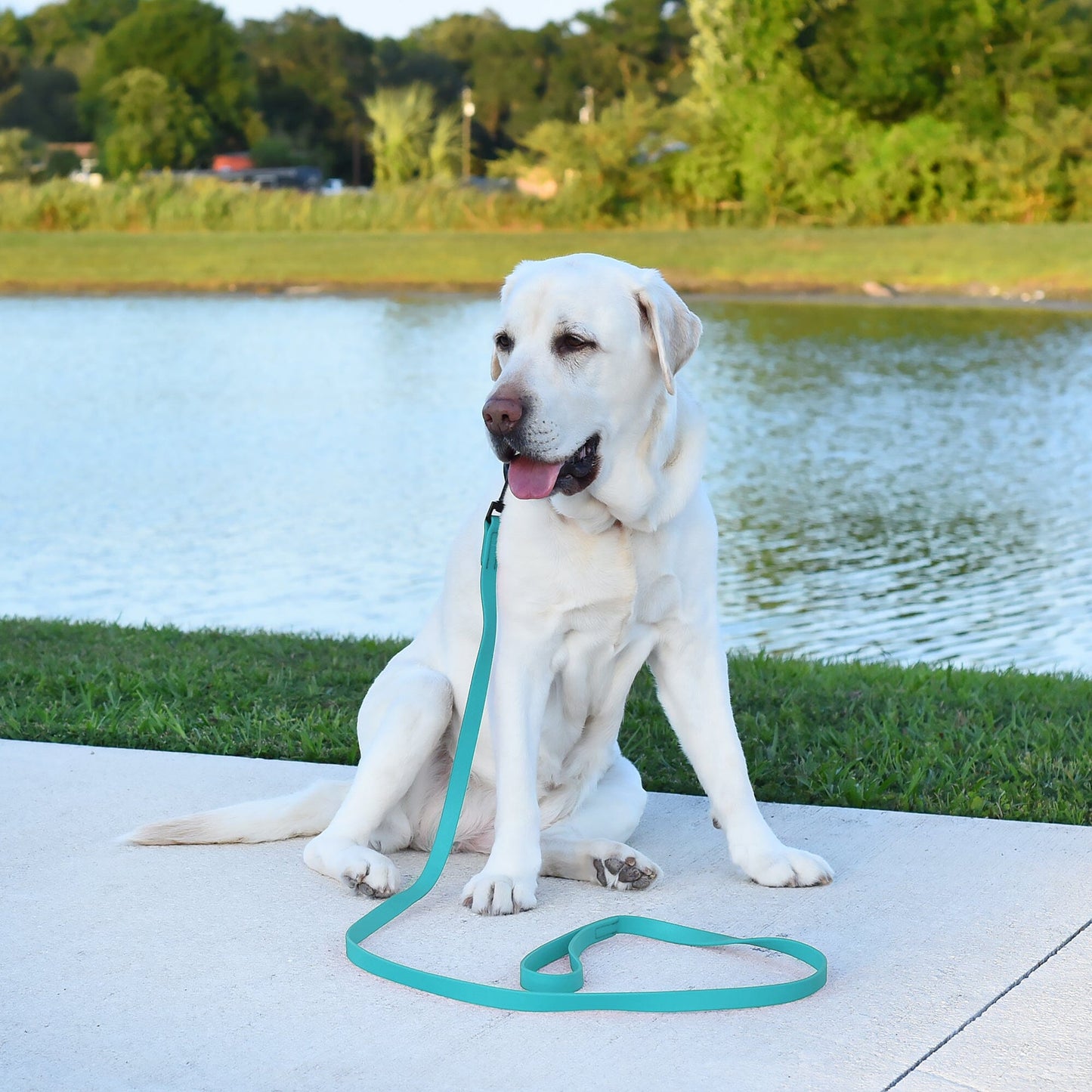 Dogline Biothane Waterproof Leash 4 ft