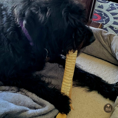 Bully Bunches - 12 Inch Beef Trachea