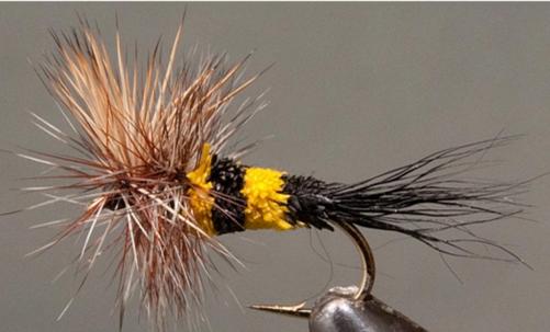 Stone Creek Bumble Bee