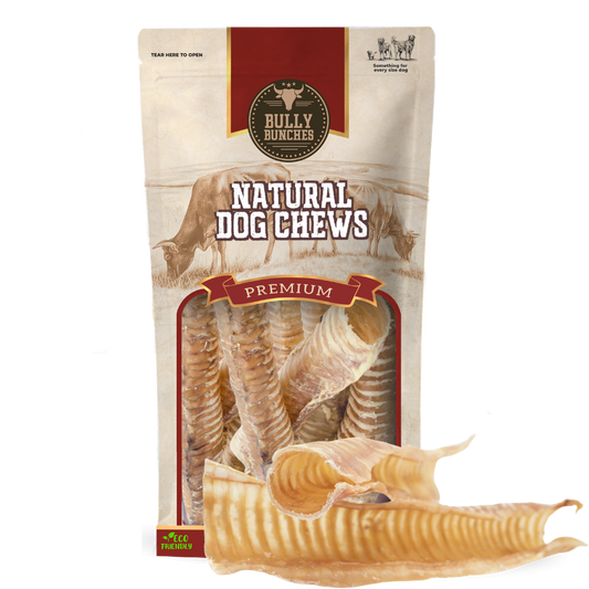 Bully Bunches - 12 Inch Beef Trachea