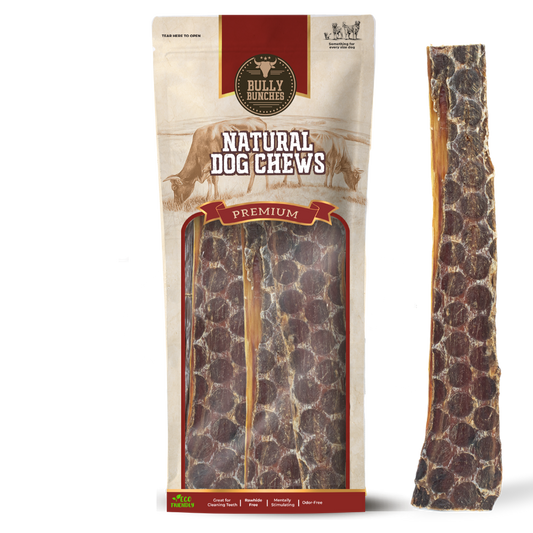 Bully Bunches - 12 Inch Beef Jerky Strip