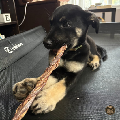 Bully Bunches - 12 Inch Braided Jerky Stick