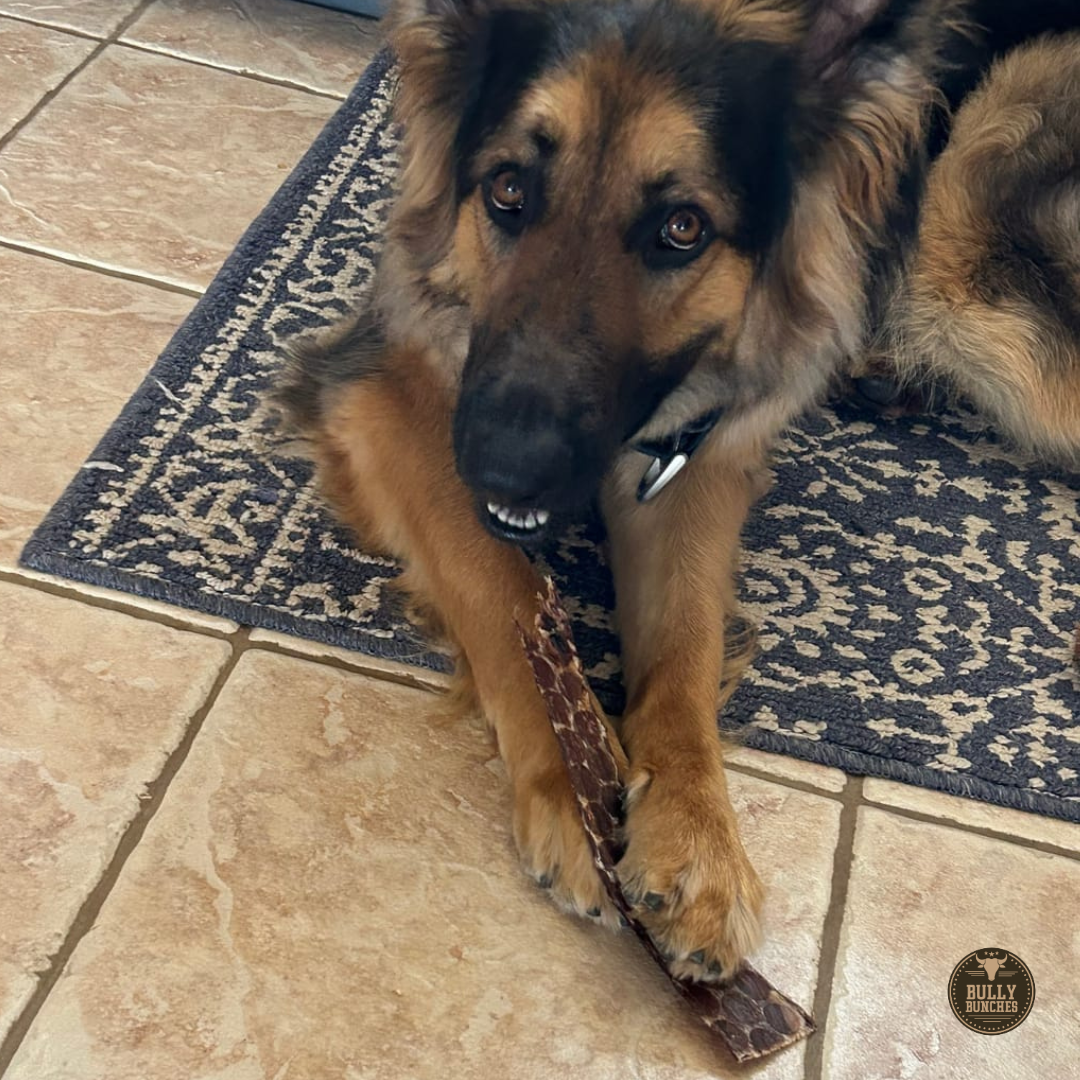 Bully Bunches - 12 Inch Beef Jerky Strip