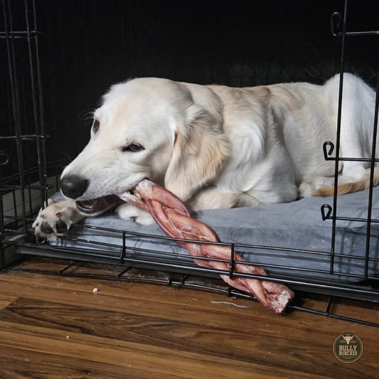 Bully Bunches - 12 Inch Monster Braided Bully Stick