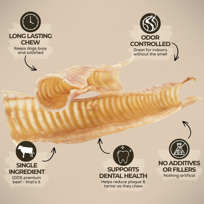 Bully Bunches - 12 Inch Beef Trachea