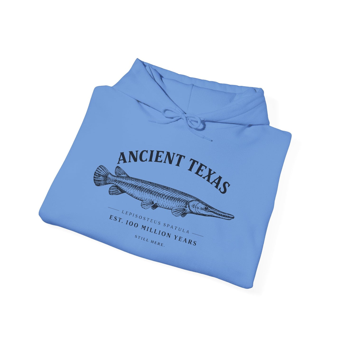 Texas Rigged Tees Ancient Texas — Unisex Hooded Sweatshirt