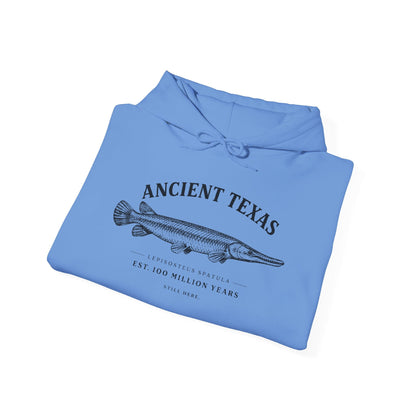 Texas Rigged Tees Ancient Texas — Unisex Hooded Sweatshirt