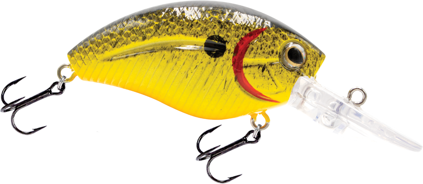 Livingston Lures Howeller DMC Jr.