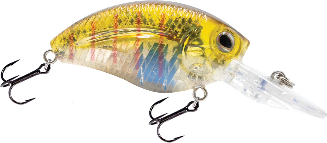 Livingston Lures Howeller DMC Jr.