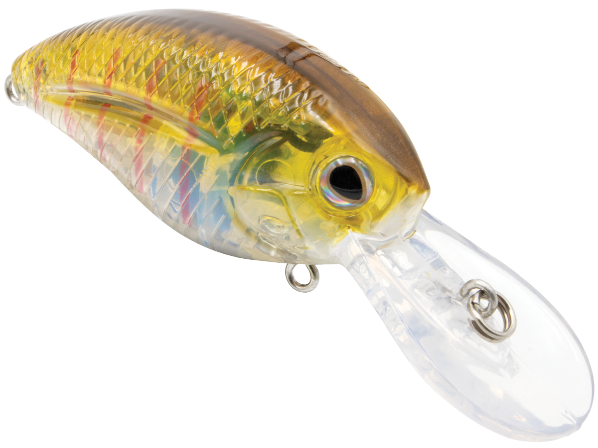 Livingston Lures Howeller DMC Jr.