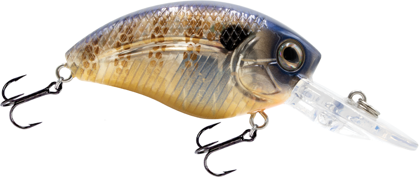 Livingston Lures Howeller DMC Jr.