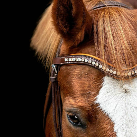 Bridles & Reins ExionPro Elegant Soft Padded Light Peach, Clear Crystal Browband
