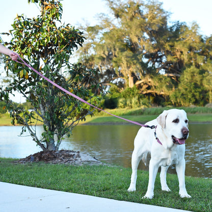 Dogline Biothane Waterproof Leash 4 ft