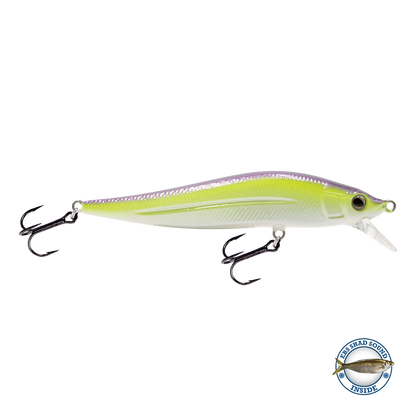 Livingston Lures JerkMaster Jr. FW