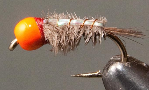 Stone Creek Orange Bead Head - Ray Charles - Grey