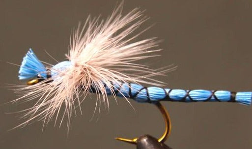 Stone Creek Parachute Damselfly
