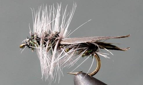 Stone Creek Hemingway Caddis