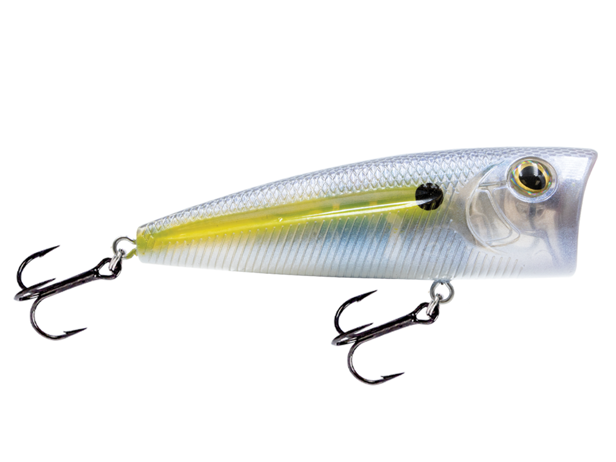 Livingston Lures WALK N POP 77