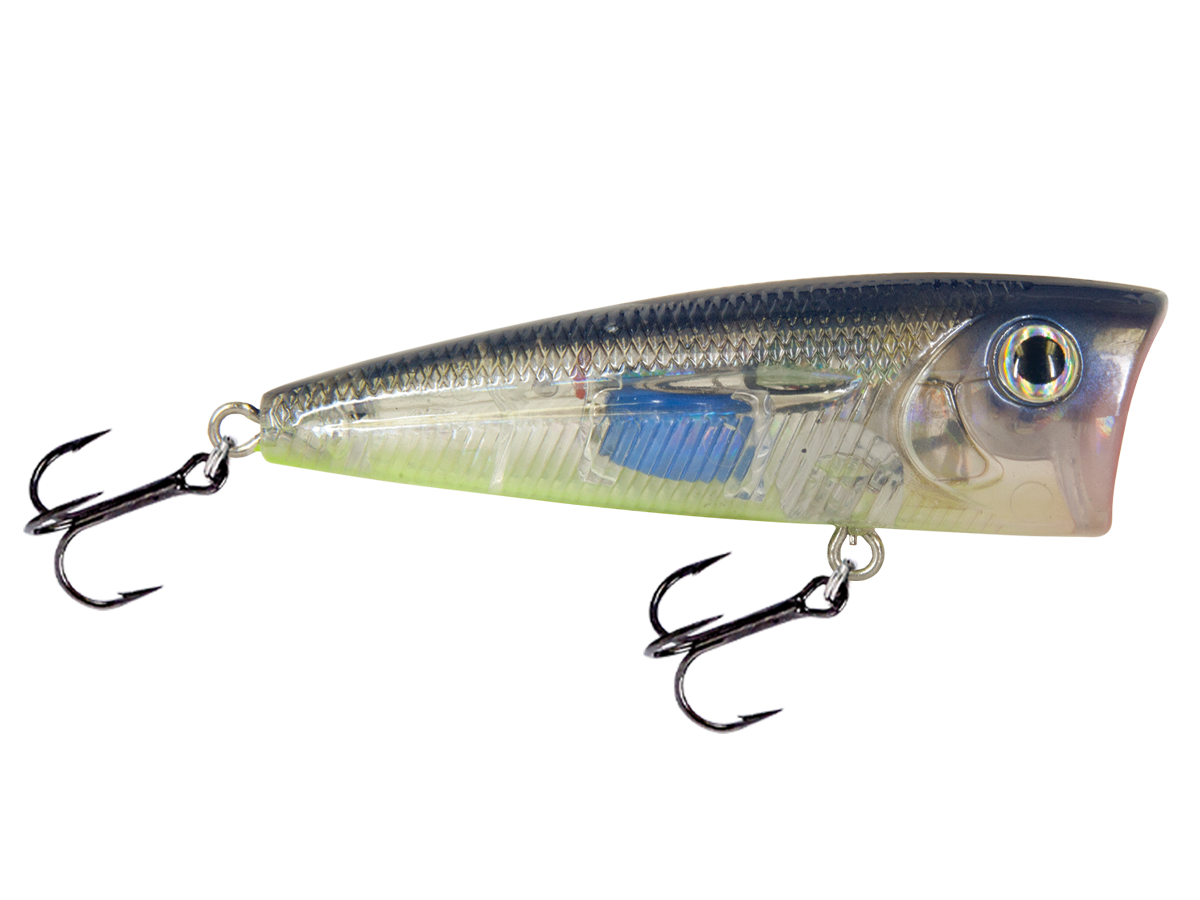 Livingston Lures WALK N POP 77