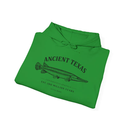 Texas Rigged Tees Ancient Texas — Unisex Hooded Sweatshirt