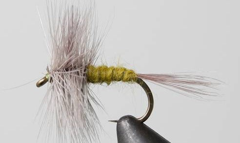 Stone Creek Blue Wing Olive