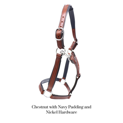 Remarkable Leather Goods GHC Padded Halter