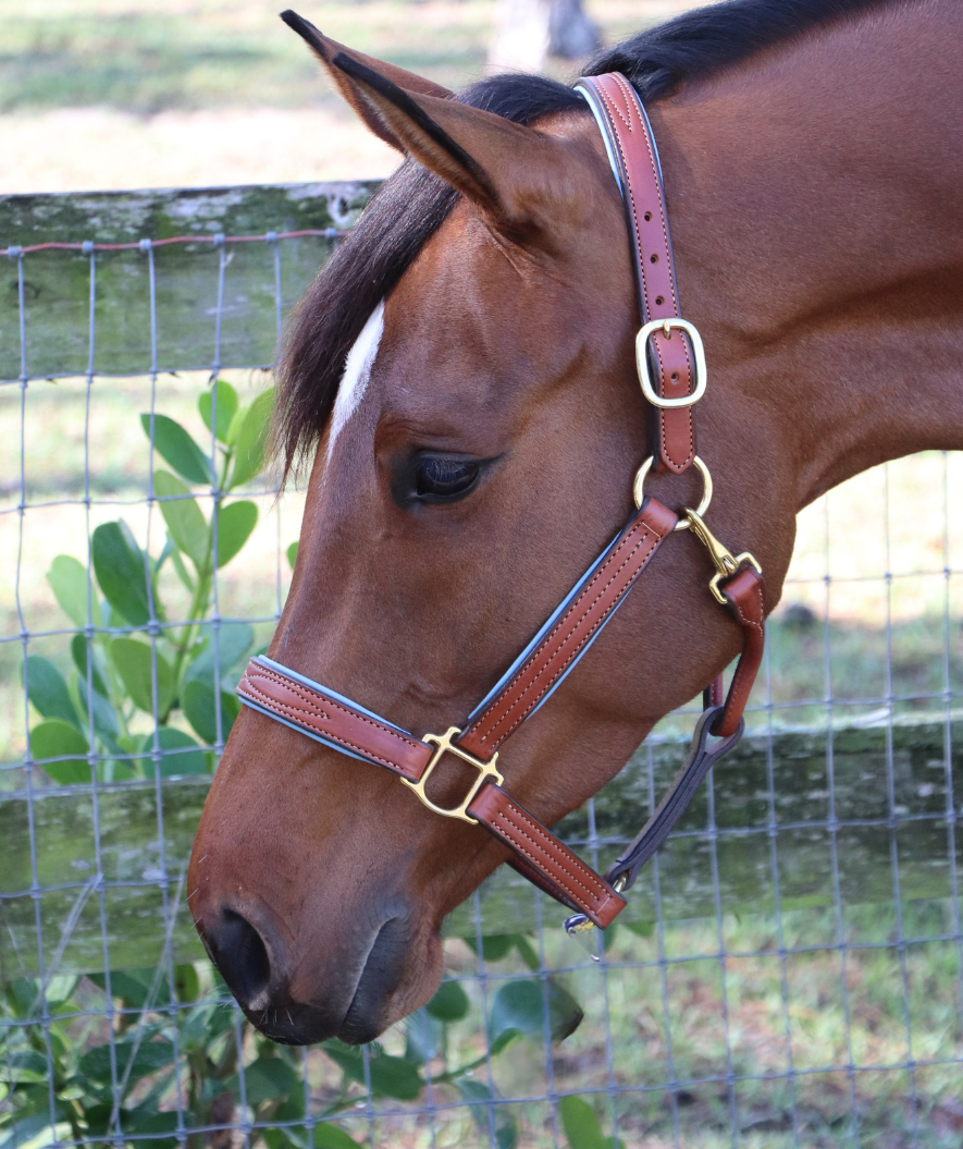 Remarkable Leather Goods GHC Padded Halter