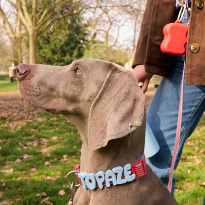 Springland Pets Waterproof Dog Leash - 5ft
