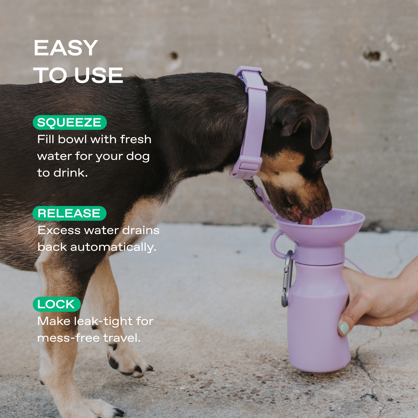Springland Pets 15oz Original Dog Travel Water Bottle
