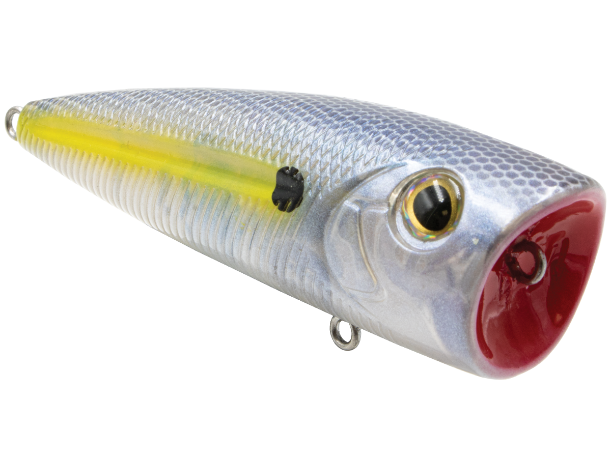Livingston Lures WALK N POP 77 (EBS MultiTouch)