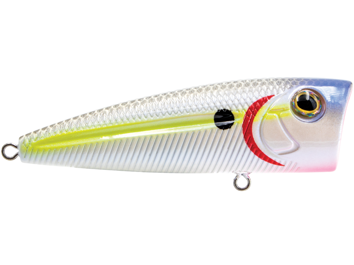 Livingston Lures WALK N POP 77 (EBS MultiTouch)