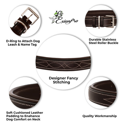 Bridles & Reins ExionPro Fancy Stitched Padded Leather Dog Collar - Blue Padding