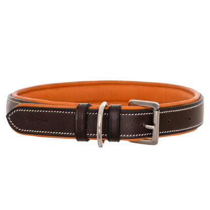 Bridles & Reins ExionPro Fancy Stitched Padded Leather Dog Collar - Conker Padding