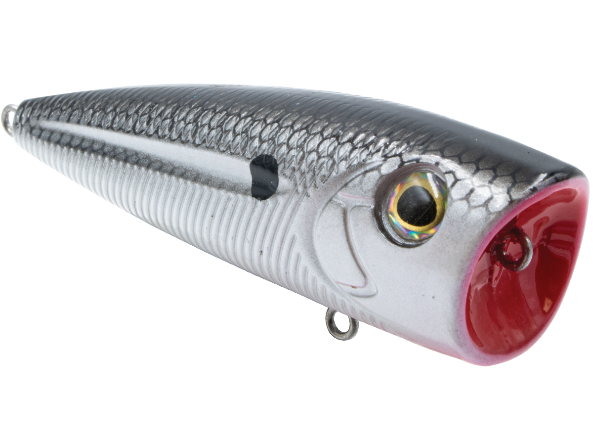 Livingston Lures WALK N POP 77 (EBS MultiTouch)