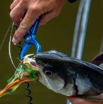 Rising Fishing Coil Leash