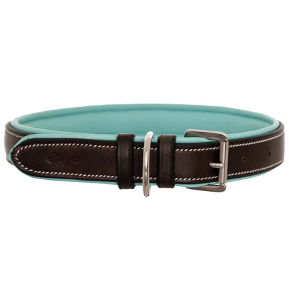 Bridles & Reins ExionPro Fancy Stitched Padded Leather Dog Collar - Sky Blue Padding