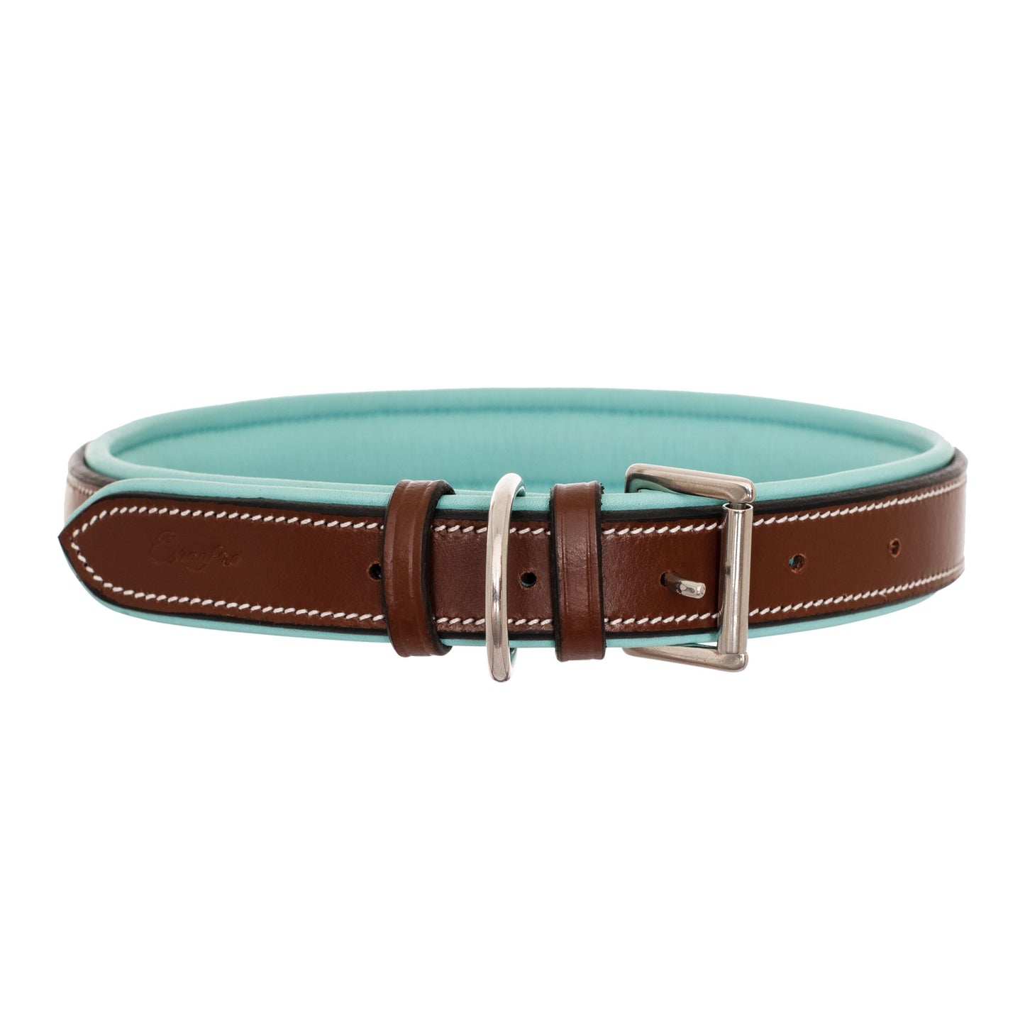 Bridles & Reins ExionPro Fancy Stitched Padded Leather Dog Collar - Sky Blue Padding