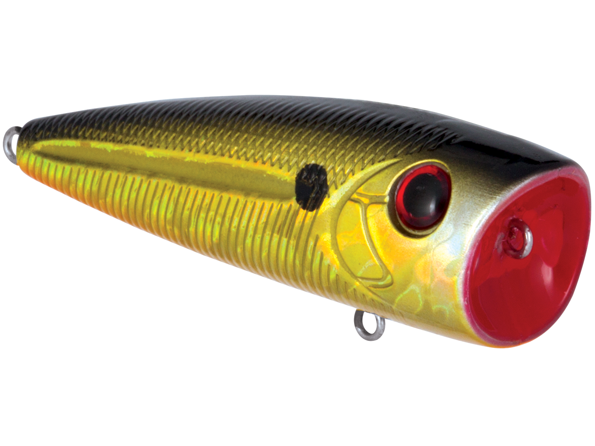 Livingston Lures WALK N POP 77 (EBS MultiTouch)