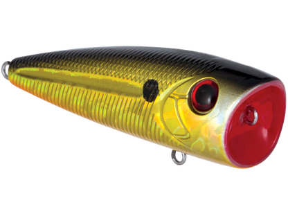 Livingston Lures WALK N POP 77 (EBS MultiTouch)