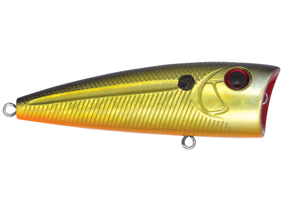 Livingston Lures WALK N POP 77 (EBS MultiTouch)
