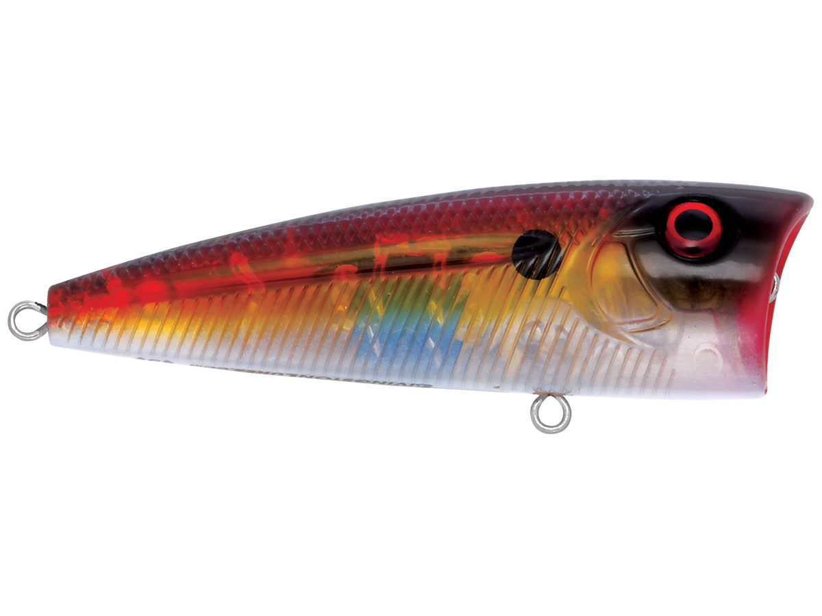 Livingston Lures WALK N POP 77 (EBS MultiTouch)