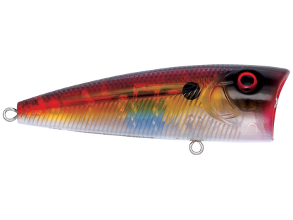 Livingston Lures WALK N POP 77 (EBS MultiTouch)