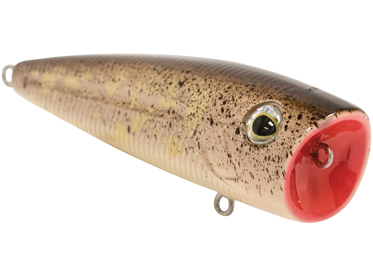 Livingston Lures WALK N POP 77 (EBS MultiTouch)